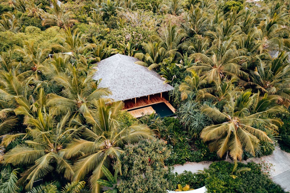 How Elite Travel Designers Curate Custom Private Island Cruises