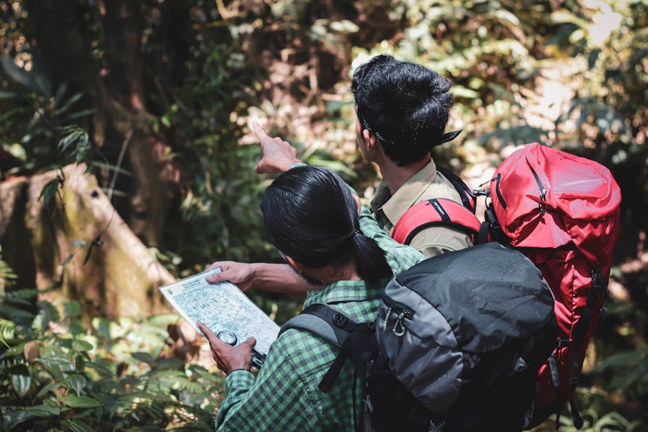 The Secrets of Planning Bespoke Wildlife Adventures for High-End Travelers
