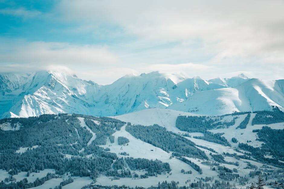 How Elite Travel Designers Craft Custom Arctic Polar Bear Adventures